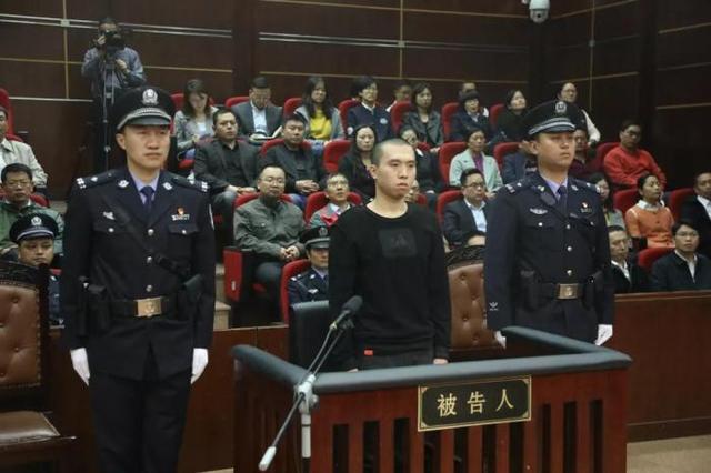 男子捂死87岁母亲欲自杀事件，二审宣判及深度分析与观点阐述