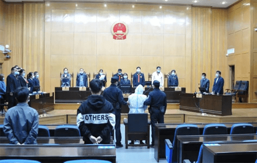 男子捂死87岁母亲欲自杀事件，二审宣判纪实与反思