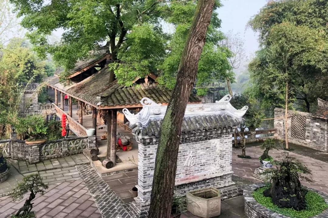 成都小区承重柱不达标拆除事件，观点阐述与标题概述