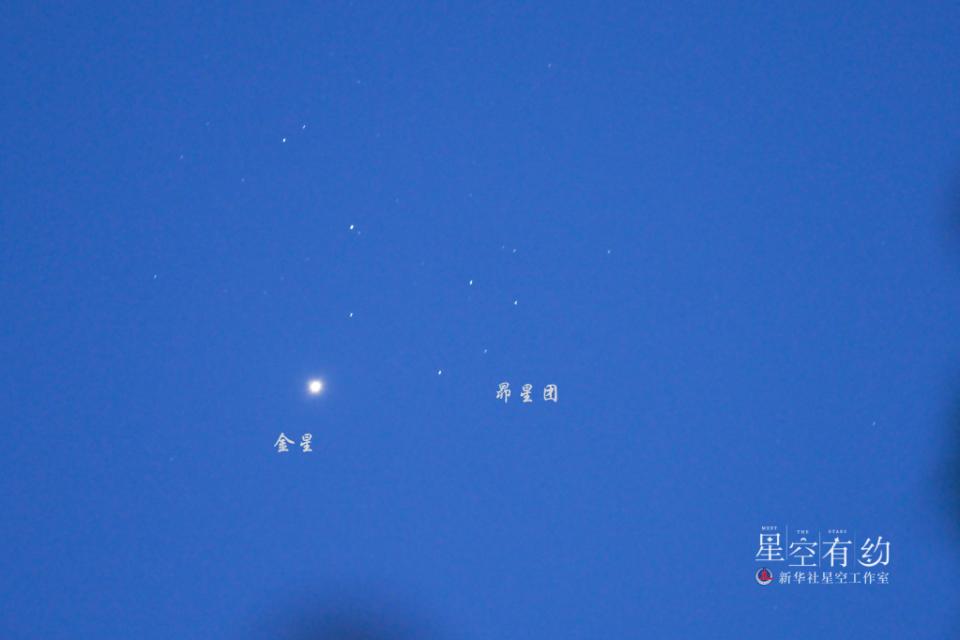 第7196页