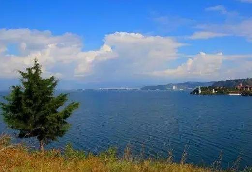 桂花经济升温启动温情消费季，助力消费增长