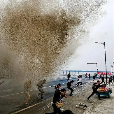 河北唐山特大潮水背后的故事，变化的力量与学习魅力展现学习风采