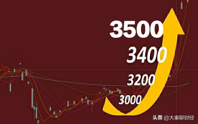 女子花800万托人炒股背后的神秘投资故事与小巷特色小店探秘