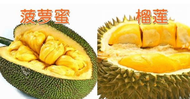 小巷深处的特色小店探秘，菠萝菠萝蜜在线观看