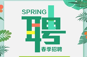 邳州市最新招聘信息详解，职位、要求与观点论述