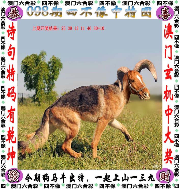 四不像论坛734343,有序解答解释落实_FHD80.105
