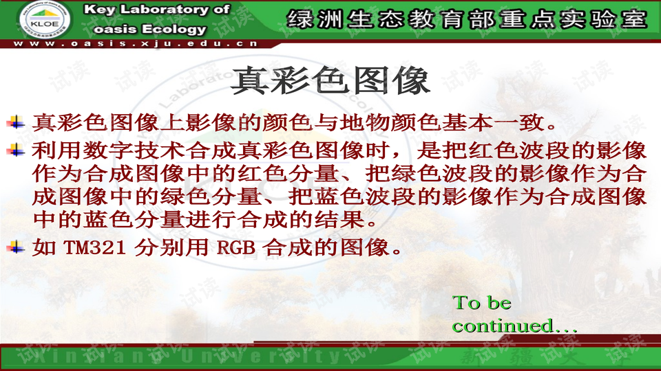 新澳门精准资料大全管家婆料,证明解答解释落实_影像版32.884