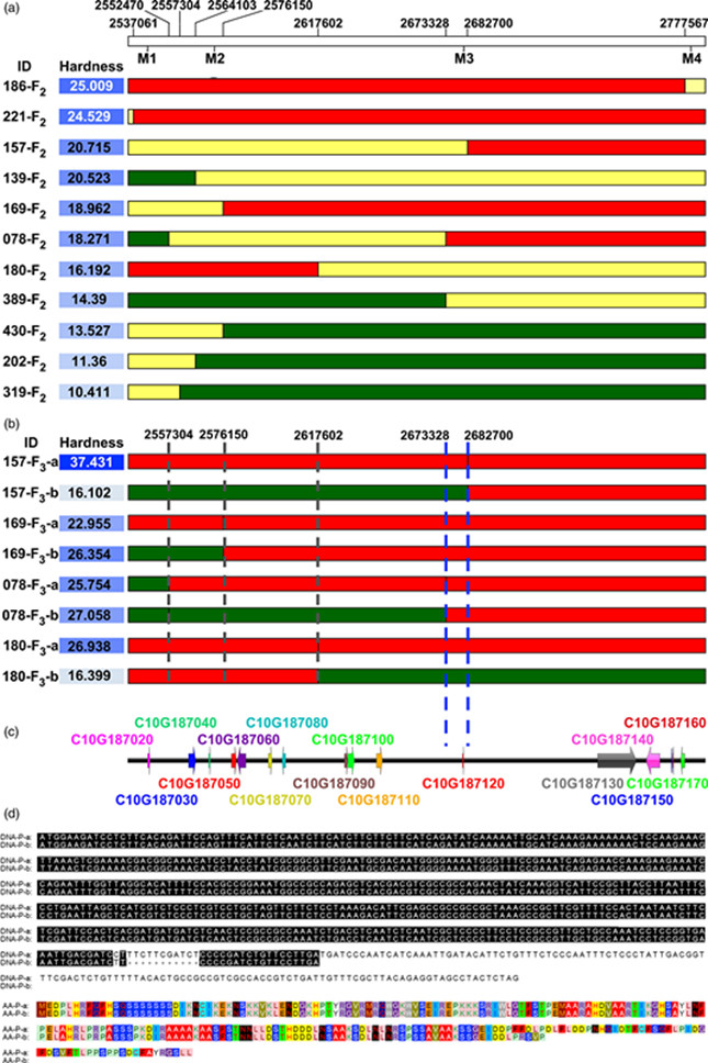 新澳天天开奖资料大全最新,重要性方法解析方案_虚拟型44.63