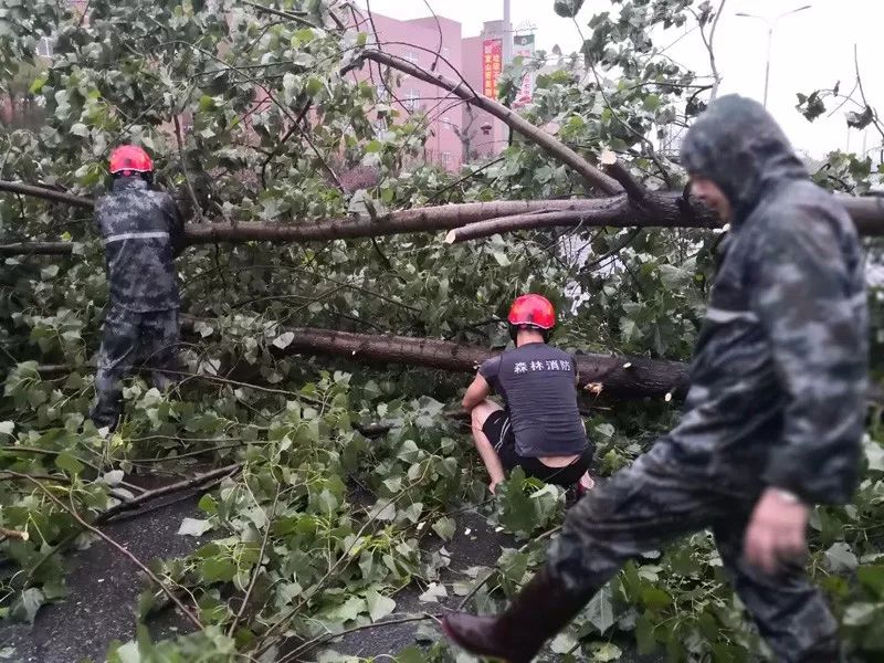 7号台风最新动态，逆风翱翔，学习变化的力量铸就自信与成就感