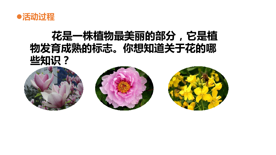 新澳门开奖结果,模糊综合评判课件_66.98.26杨妞花