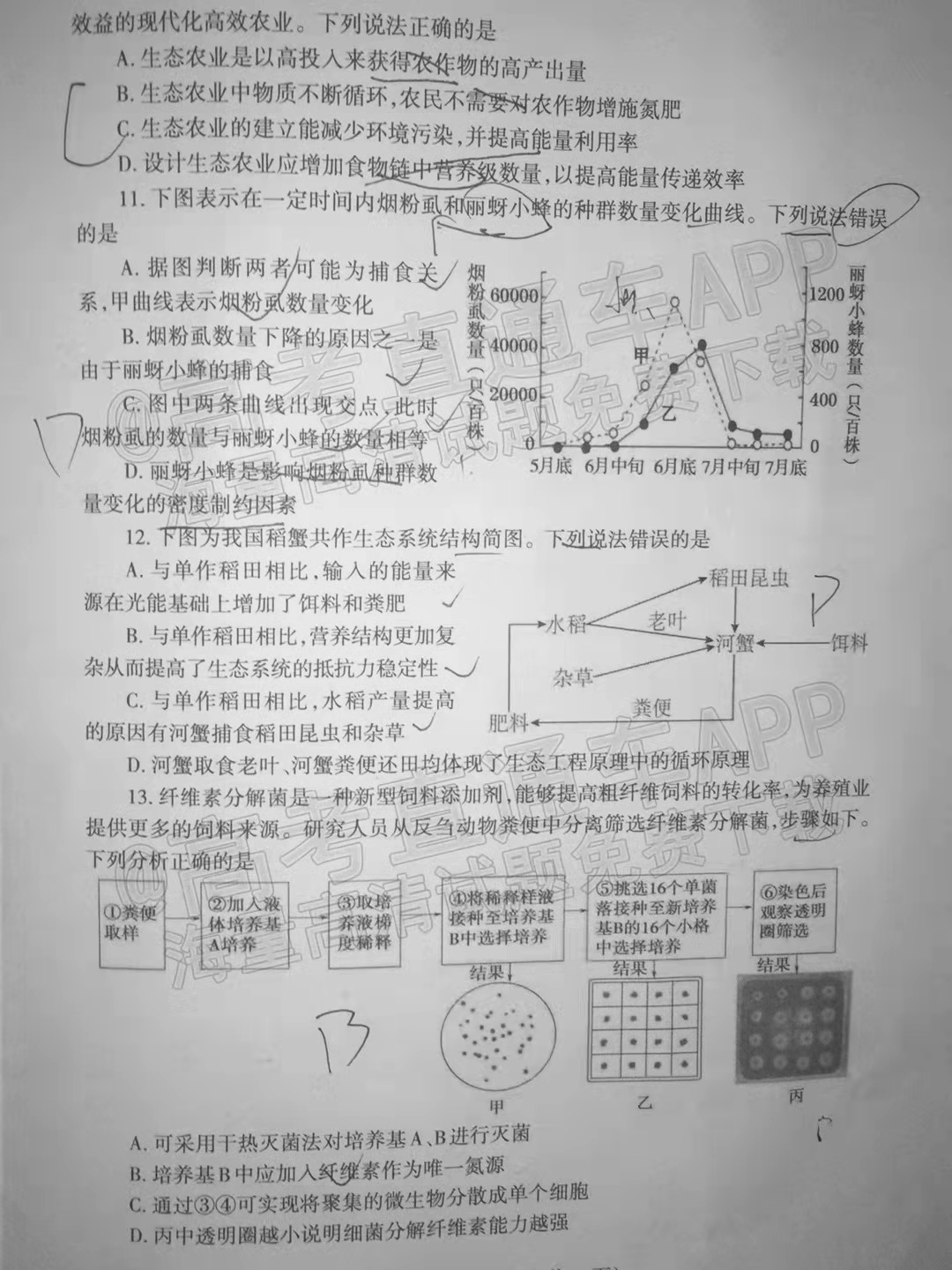 新澳门最新开奖记录查询,语文试卷综合评判_47.65.32种植牙
