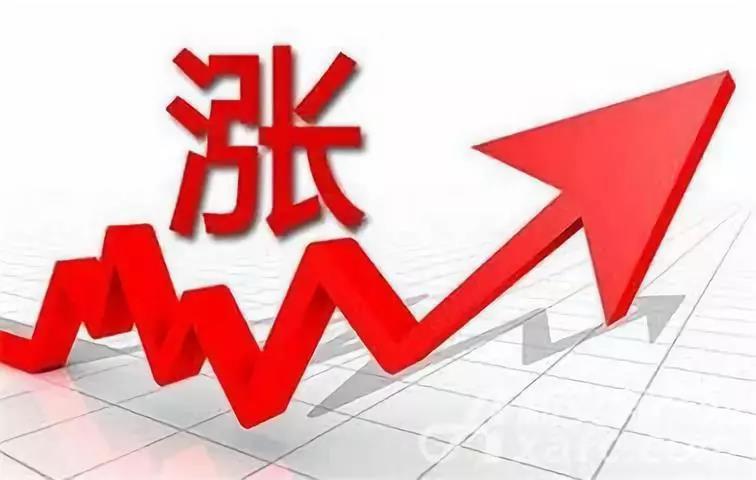 山东尿素价格动态变化，学习成就自信与梦想之路