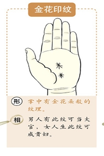 2024澳门独家免费资料大全，精准解析动态词汇_八卦界YRK844.19