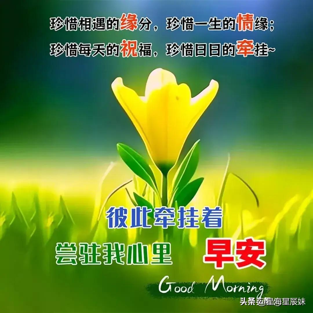 2024年天天彩资料免费大全,专业执行问题_兼容款80.189