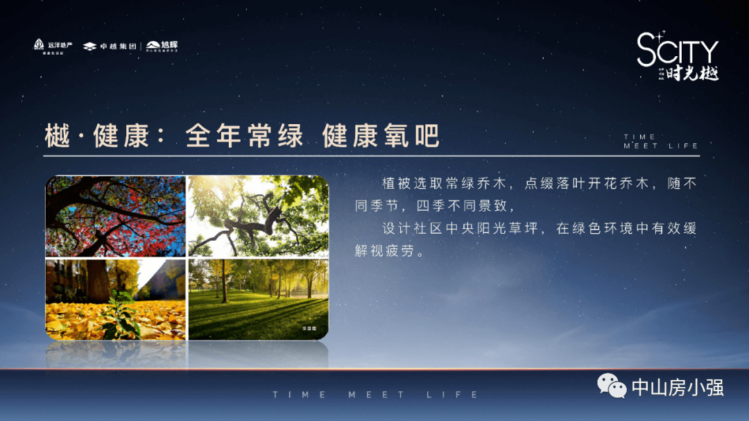 韩国大选最新动态及其潜在影响，一种观点的深度解析