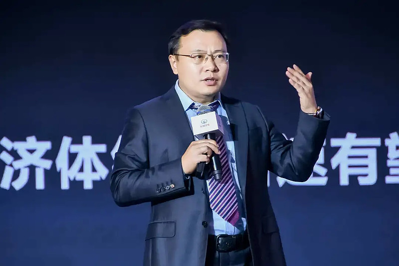 任泽平最新观点解析，经济趋势展望与未来发展展望