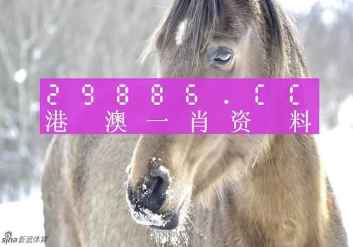 香港一肖一码100准确，经典解读说明_旗舰款10.5.81