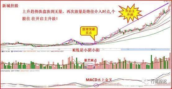 管家婆一码一肖一种大全，整体执行讲解_娱乐版5.38.85