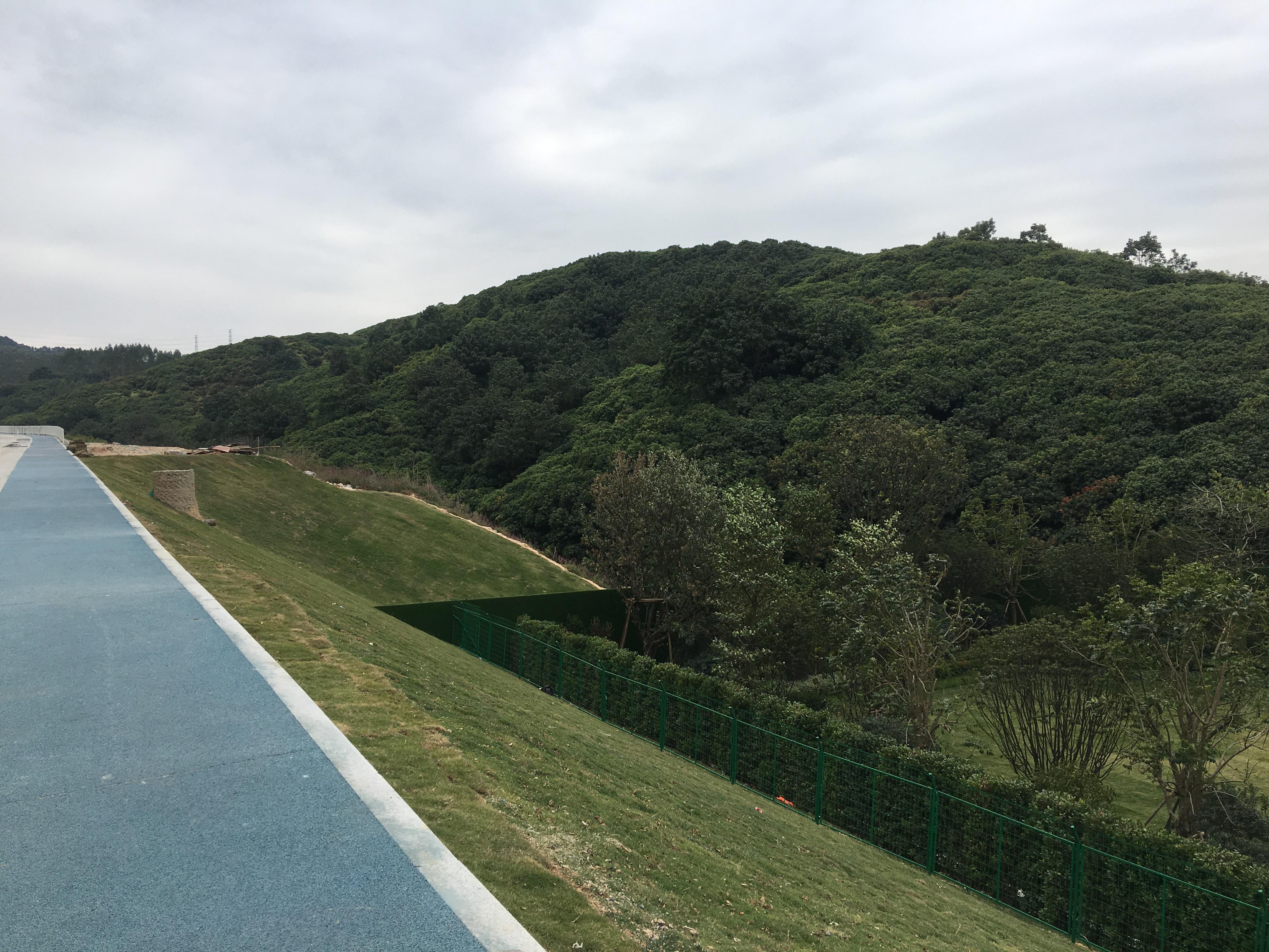长岭居未来科技生活新篇章揭晓最新消息