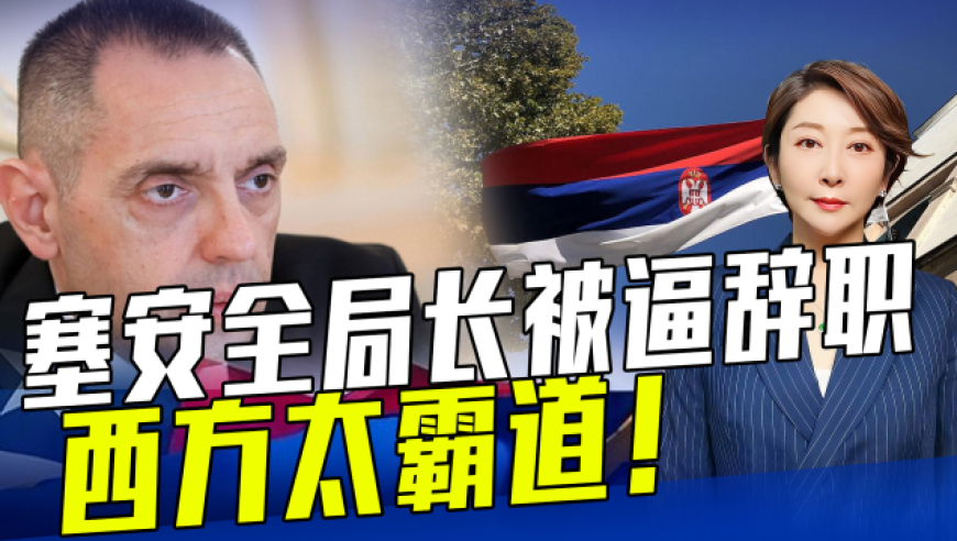 社会警钟再次敲响，最新杀人新闻震惊社会