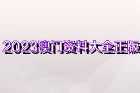 新澳门资料大全正版资料2023，实地方案验证策略_基础版12.10.13