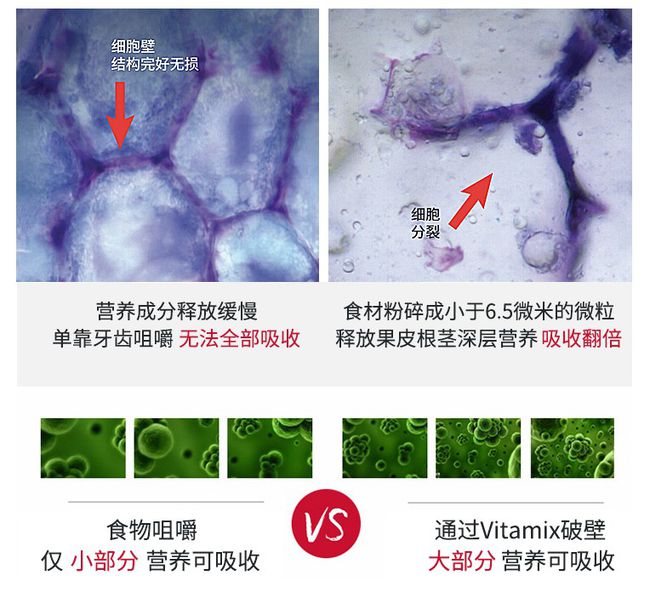 林俊杰最新动态，小巷音乐与美食的双重惊喜体验