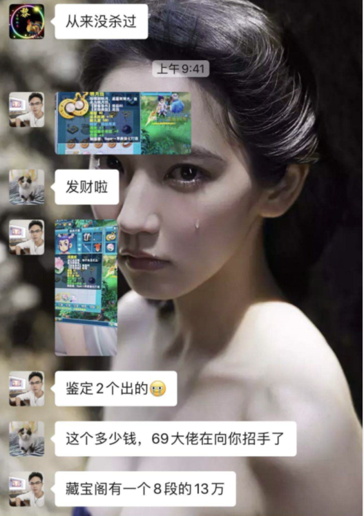 最新毛鸡价格揭秘，鸡的逆袭与成长之路