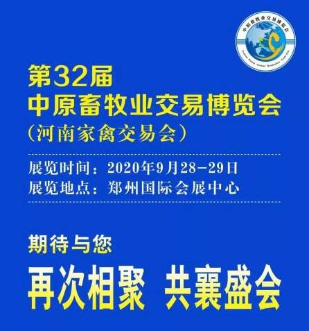 最新兽药科技创新，重塑畜牧业的未来面貌