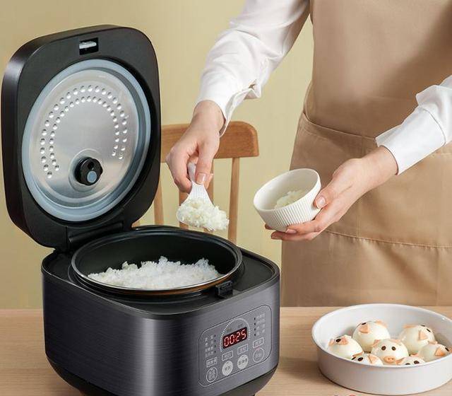 最新电饭煲，找寻自信与成就感的魔法炊事神器