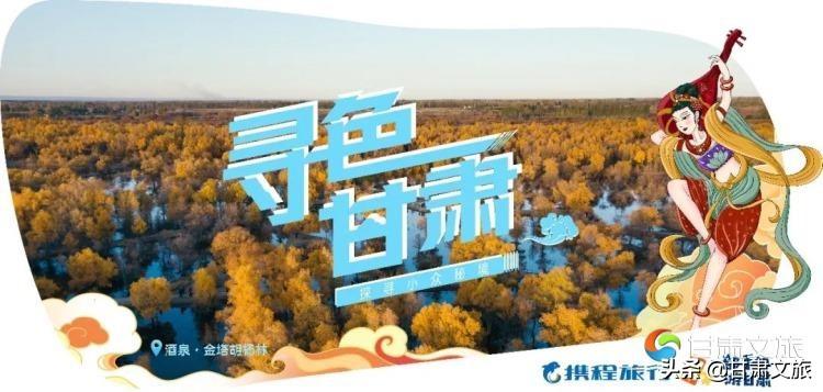 甘肃养老金最新动态，科技助力智慧养老新体验