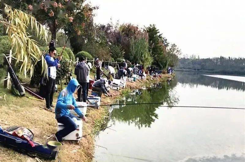西安钓鱼野钓最新地点指南，探索最新钓鱼胜地