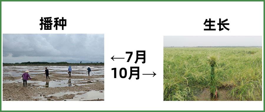 自然美景探索之旅 第20页