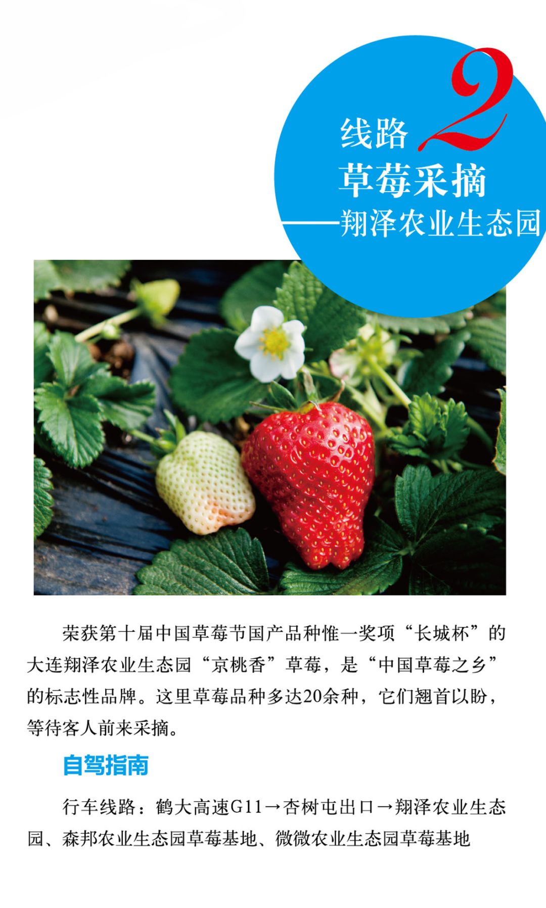 最新观点论述揭秘