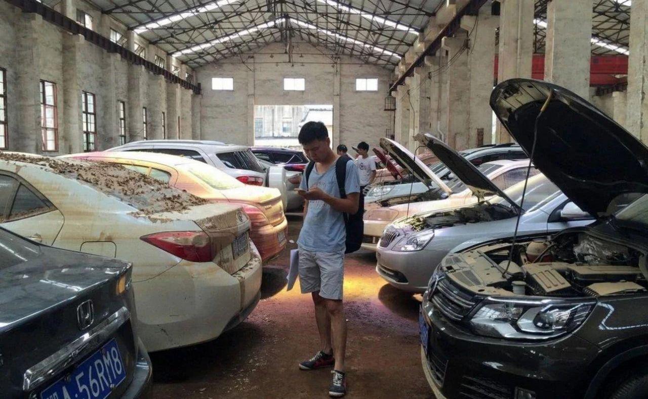 老司机现象，深度解析与观点阐述