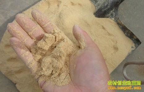 🌟米糠价格最新行情动态🌟