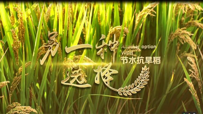 欧豪最新照片