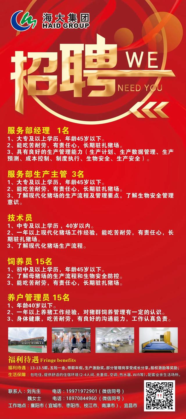 探索自然美景寻找内心宁静之旅
