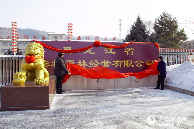 黑龙江省国有林场改革最新进展，与自然美景的旅行探索之旅