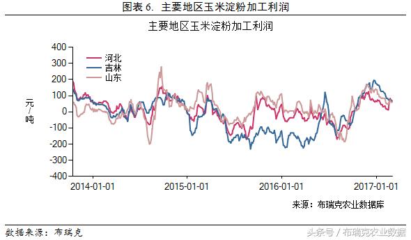 全国玉米行情走势深度解析，自然美景探索之旅的玉米市场之旅