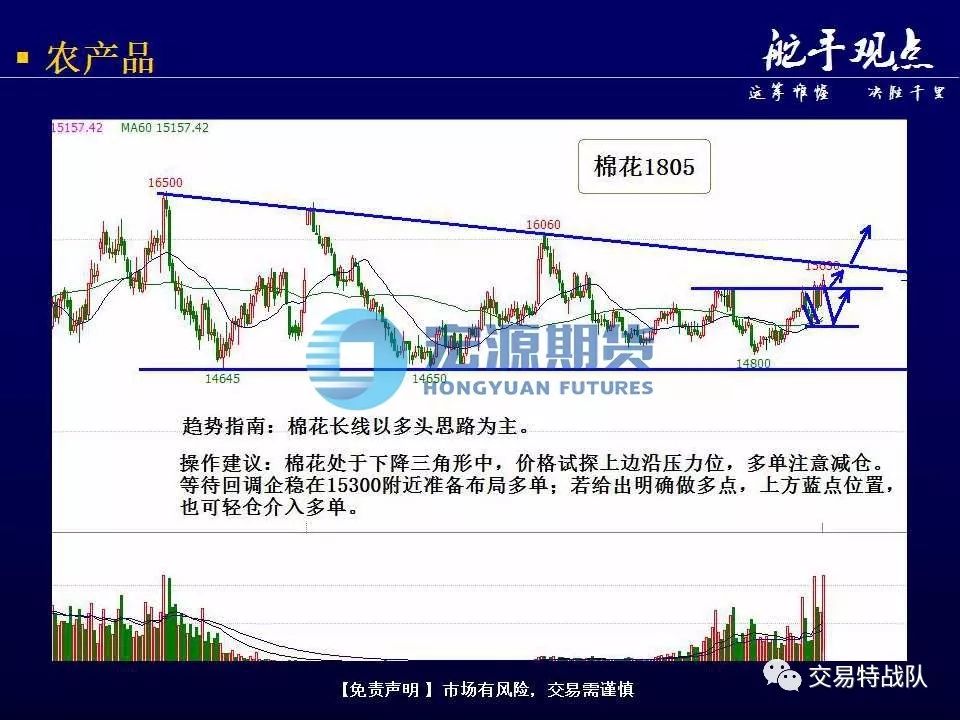 曲阳吧今日最新消息，多元视角下的观点碰撞