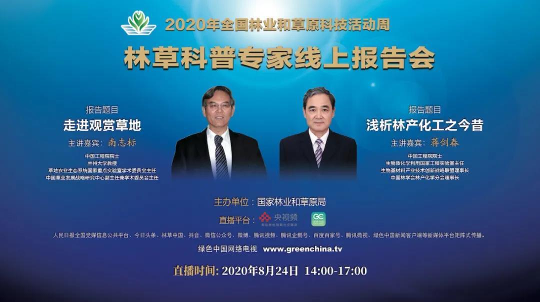 山东林场改革最新动态，绿色变革中的奋进篇章