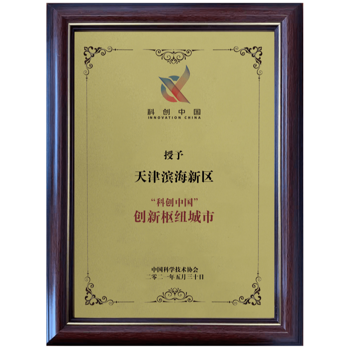 这两个词汇能够很好地概括你提供的内容
