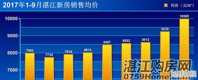 湛江楼市最新动态揭秘，市场走势分析与观点阐述