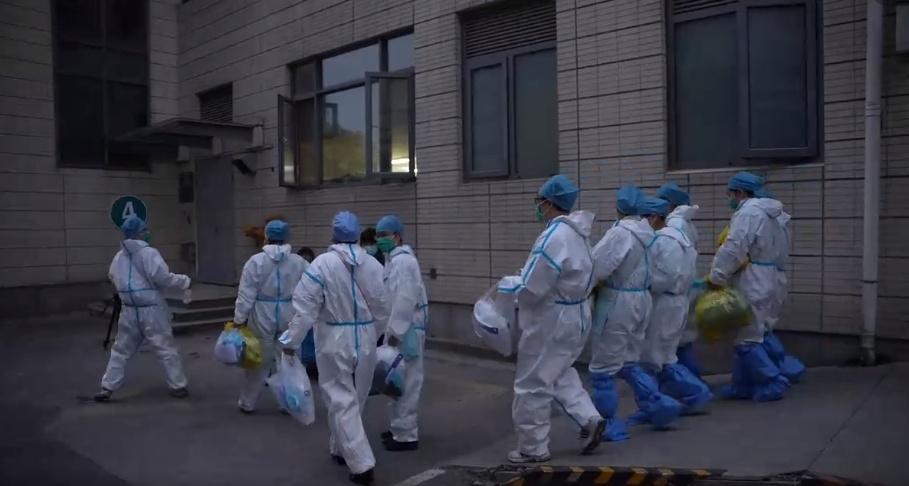 奉贤四团最新规划，探寻自然美景之旅，寻求内心平和与宁静的旅程