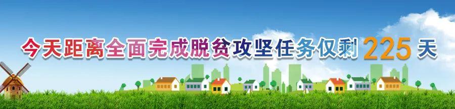 医疗垃圾焚烧炉 第92页