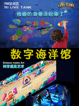 第244页