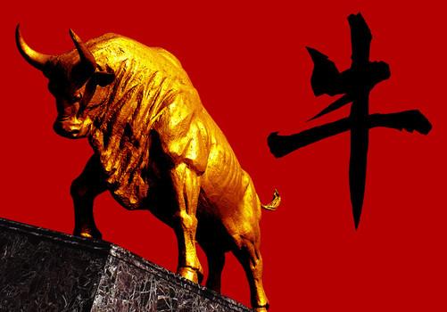 太平洋股票最新动态更新🌟