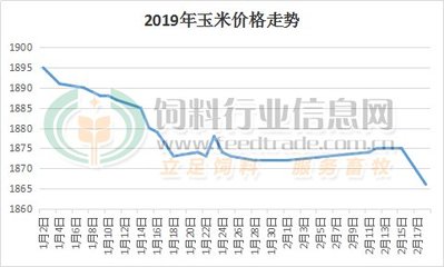 山东玉米最新收购价格，时代印记与市场动态