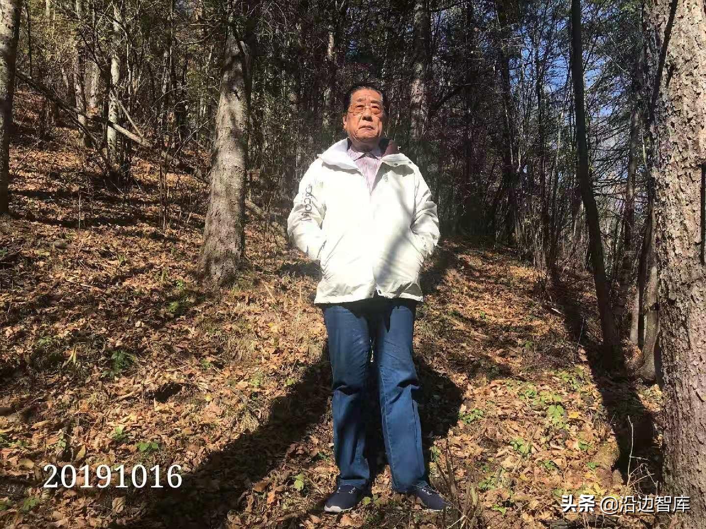 吉林省林场改革最新动态，启程探索自然美景的旅程