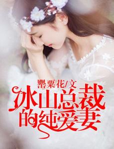 冰山总裁老婆叶雄，神秘小店探秘最新章节